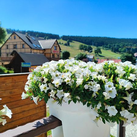 Ski&Spa Zieleniec Душники-Здруй Екстер'єр фото